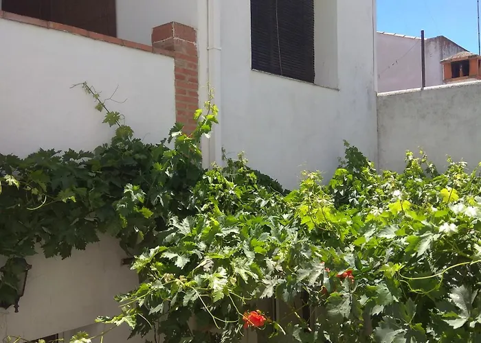 El Regocijo